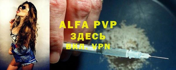 спиды Верея