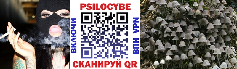 где продают наркотики  Щёлково  Псилоцибиновые грибы Psilocybe 